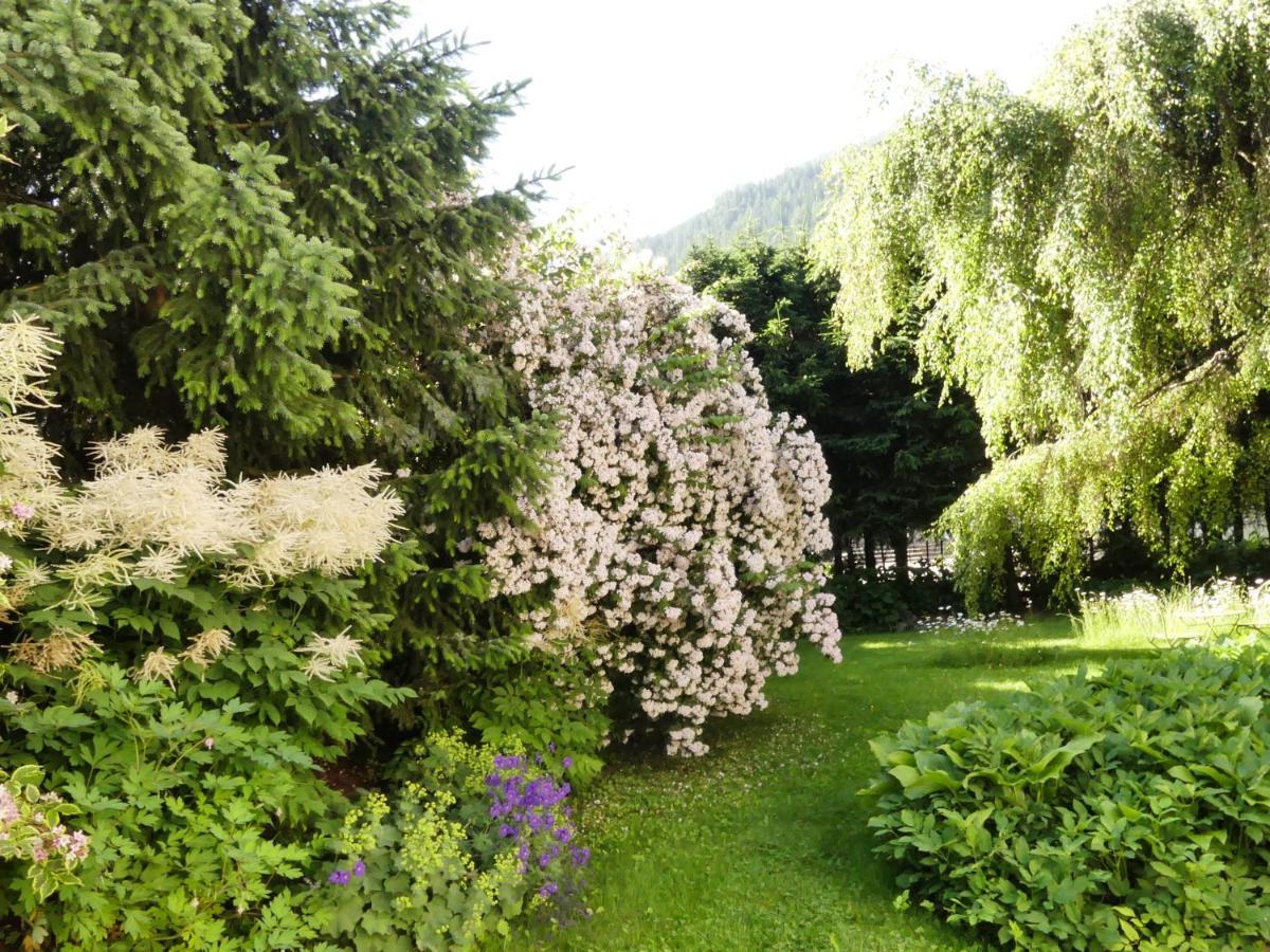 Ferienwohnungen Familie Wetzlinger Bad Kleinkirchheim Eksteriør billede