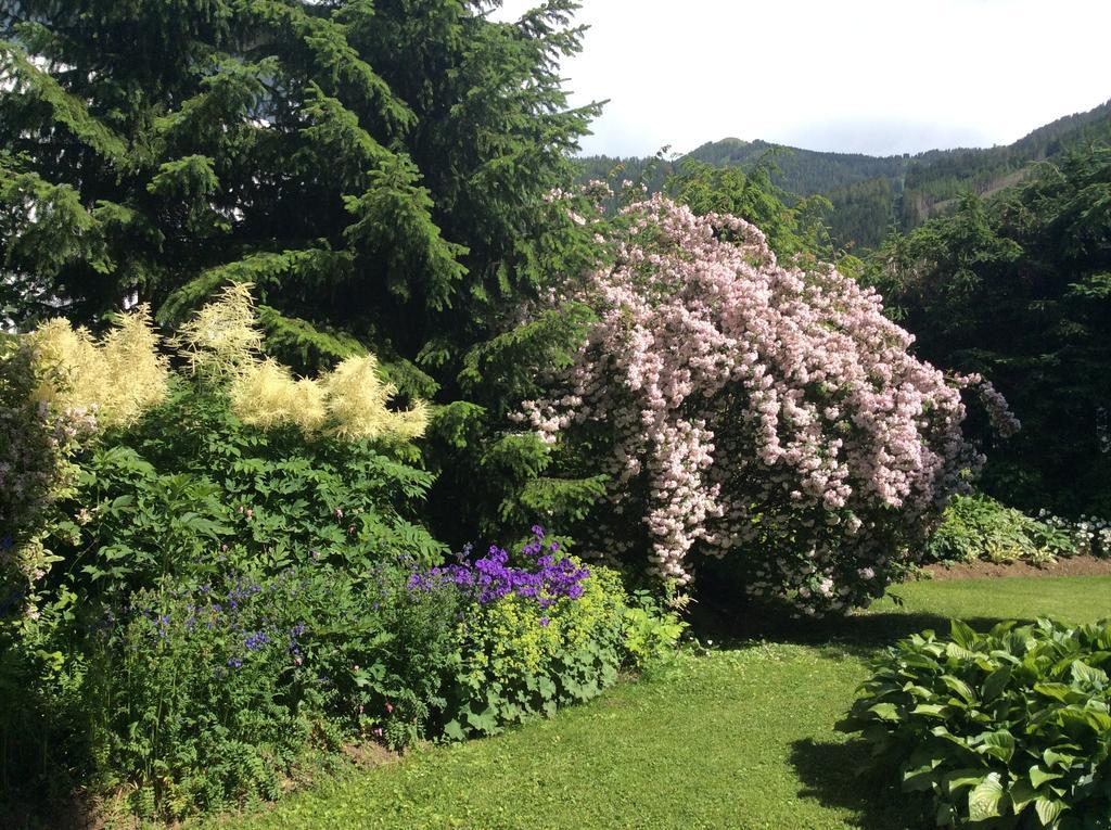 Ferienwohnungen Familie Wetzlinger Bad Kleinkirchheim Eksteriør billede